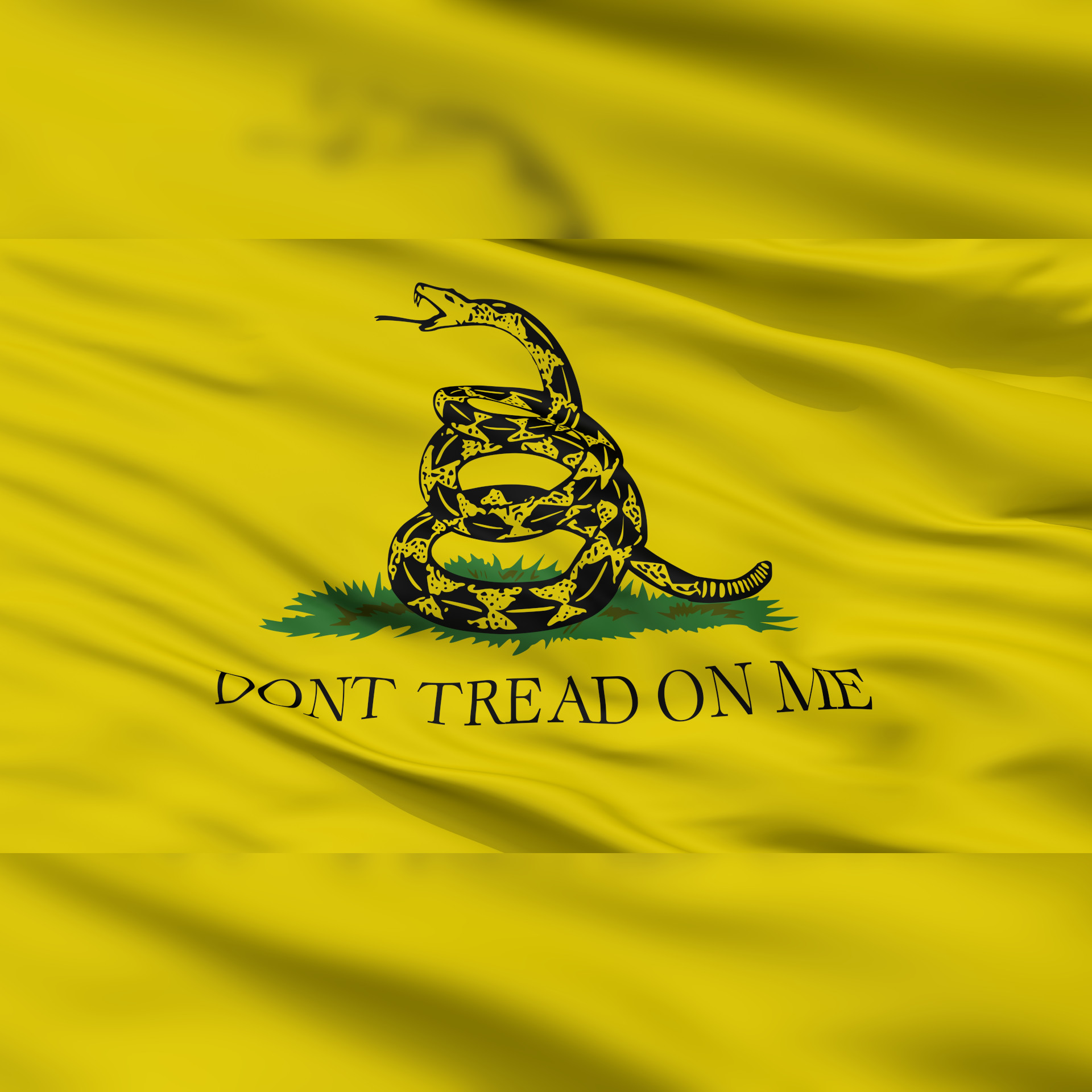 “Shall Not Be Infringed”